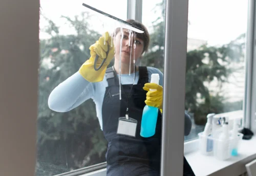 Nettoyage de vitres intérieures et extérieures à Pérassay